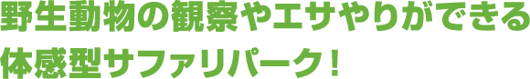 野生さながらの大迫力サファリ!!