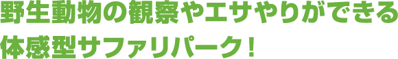 野生さながらの大迫力サファリ！！