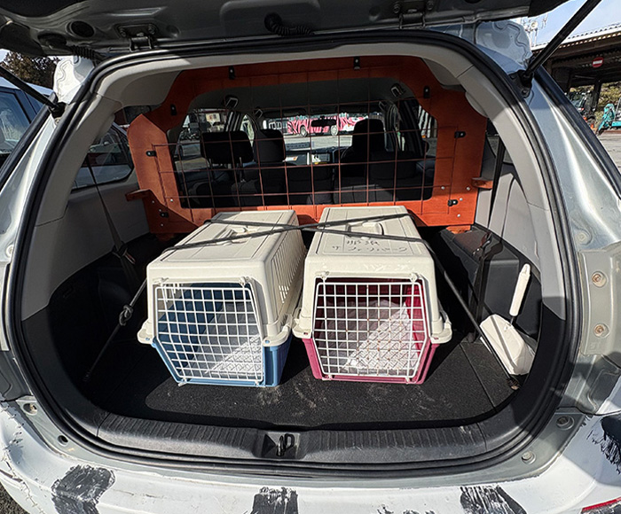 ペット同伴レンタカーの車内